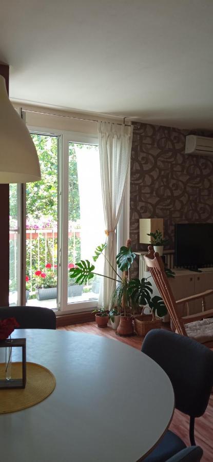Branysol Apartman 노비사드 외부 사진