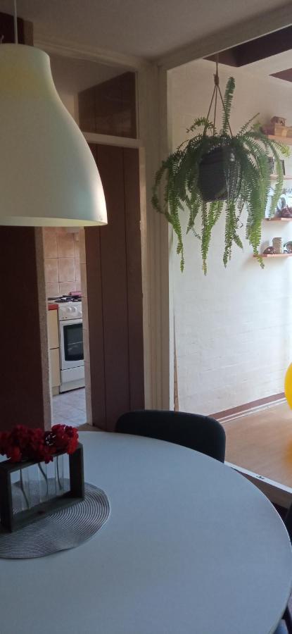 Branysol Apartman 노비사드 외부 사진