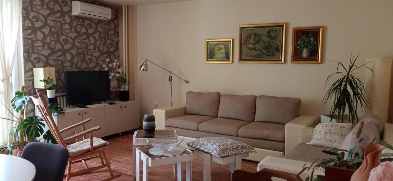 Branysol Apartman 노비사드 외부 사진
