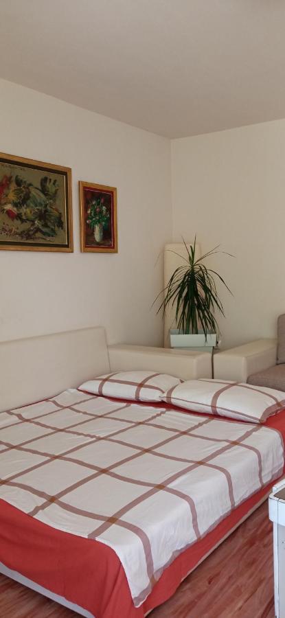 Branysol Apartman 노비사드 외부 사진