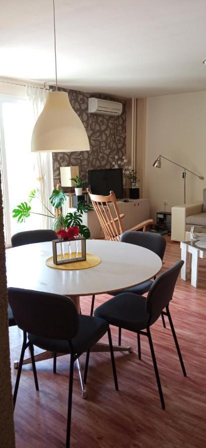 Branysol Apartman 노비사드 외부 사진